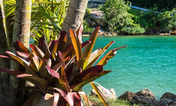 Barra da Lagoa House | Studio 3 - Araçá - Quinta da Margem