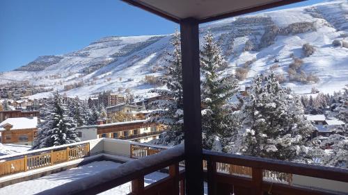Les Deux Alpes Apartment | STUDIO 4 personnes - 19m2 plus terrasse- Le pluton