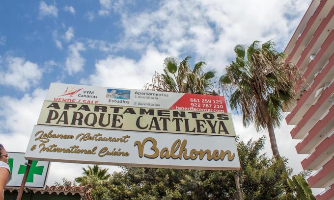 El Madronal Apartment | Studio Apartment In Parque Cattleya, Playa De Las Americas