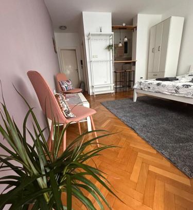 Grbavica Apartment | Studio Apartment Laganini