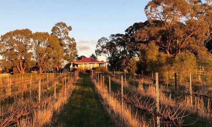 Amherst Bed & Breakfast | Studio apartment on a vineyard in the heart of the goldfields