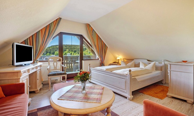 Pobershau Apartment | Studio Apartment 'Pension Bergblick - Silberstraße' with Mountain View, Balcony and Wi-Fi