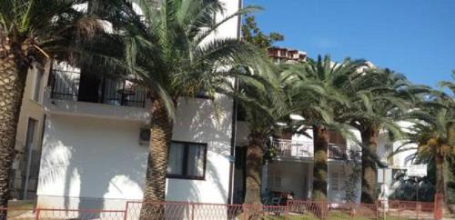 Babin do Apartment | Studio Apartments 6 Palmi