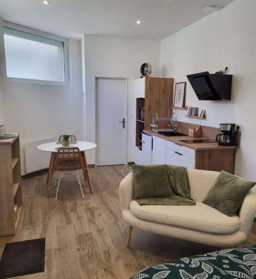 Arcis-sur-Aube Apartment | Studio centre d Arcis