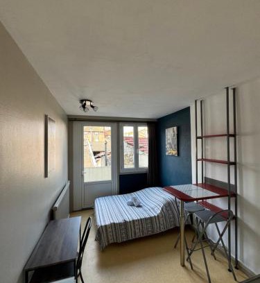 Faubourg Saint-Jacques Apartment | Studio Centre Ville 6