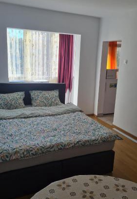 Arad Apartment | Studio Chic Symphony parcare privata