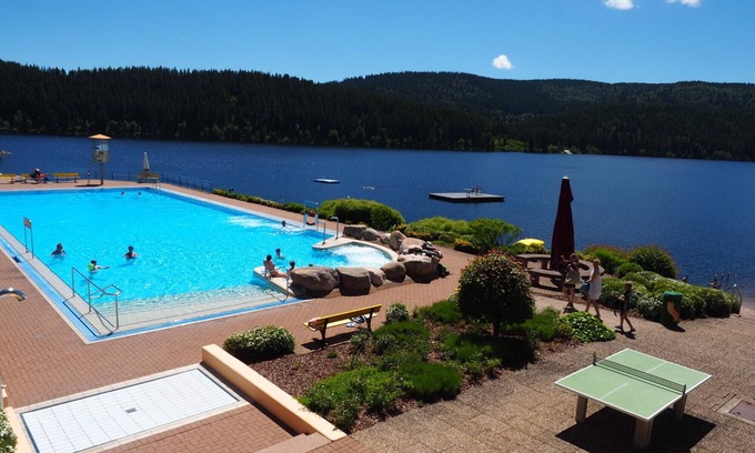 Menzenschwand-Hinterdorf Apartment | Studio B3 for 2 people