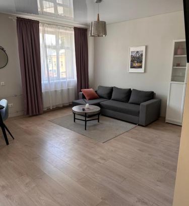 Kedainiai Apartment | Studio flat Centrinis Butukas