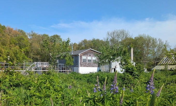 Westport Apartment | Studio guesthouse on our farm in beautiful South Westport.