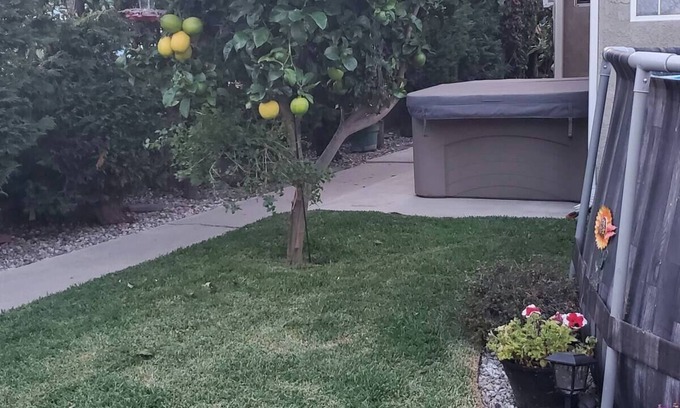 Lawndale Apartment | Studio in Southbay close to the beach SoFi stadium LAX