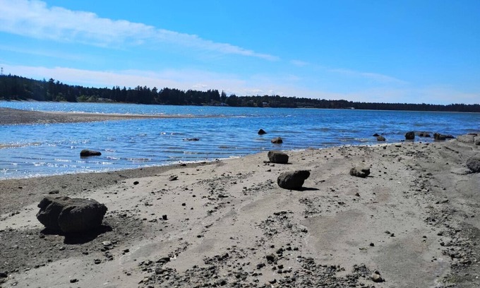 Regional District of Nanaimo Apartment | Studio, Pool, Beach, BBQ & Kayaks/Paddleboards