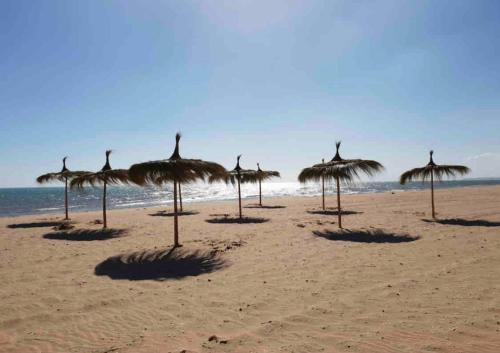 Raoued plage Apartment | Studio Raoued plage