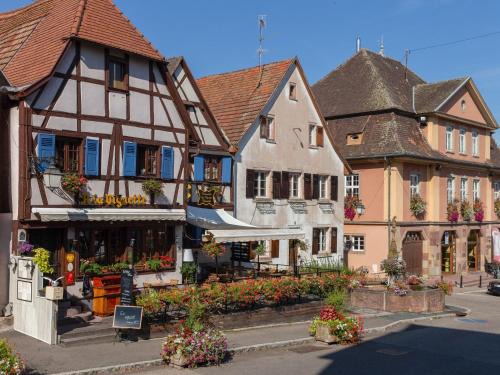 Dambach-la-Ville Apartment | Stunning Apartment in heart of Dambach La Ville