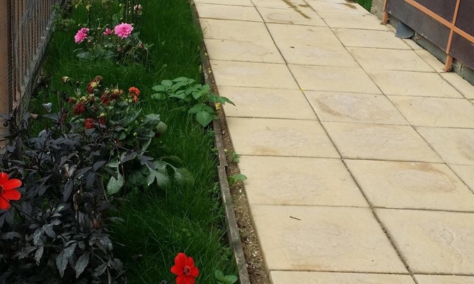 Tottenham Apartment | Stunning apartment with private garden