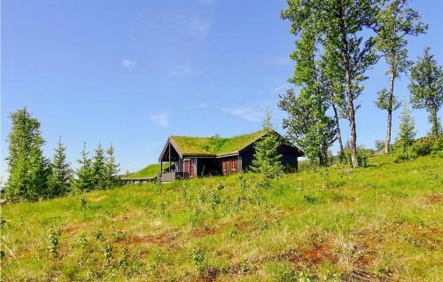 Kamben House | Stunning Home In Gol With Sauna