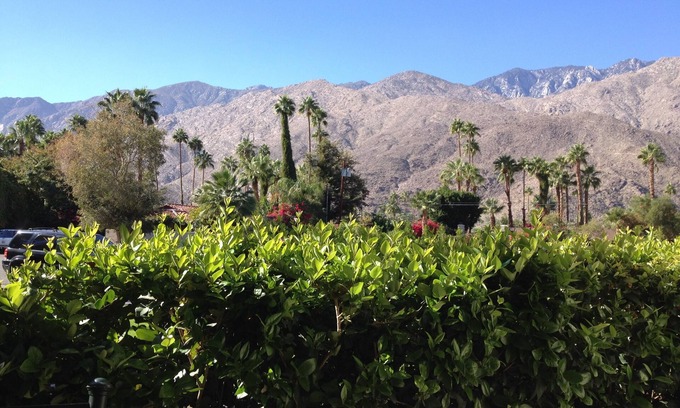 Palm Springs Condo | Stunning mountain view in Deep Well area just south of downtown 1 bedroom condo
