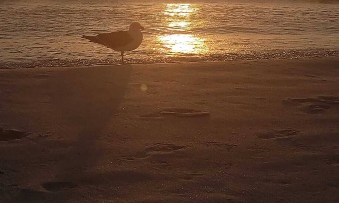 Praia Grande Apartment | stunning sunset