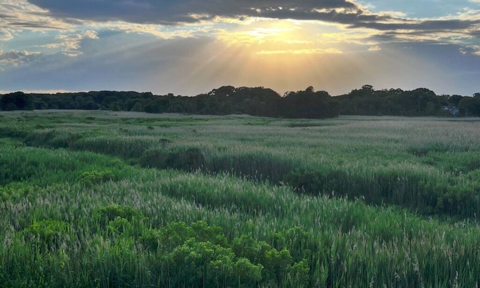 Milford House | Stunning Sunsets & Coastal Charm in Milford!