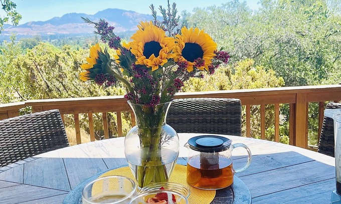 Lafayette House | 🌟Stunning view🌟 Hot Tub & BQ 🌟Secluded retreat 🌟