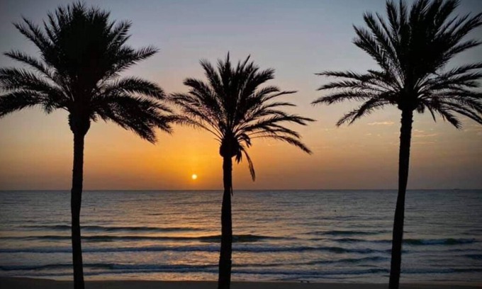 Mil Palmeras Villa | Stunning villa with private pool and large outdoor space near the beach