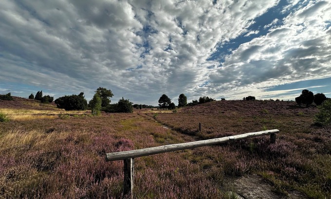 Wittingen House | Stylish country idyll in the Südheide. Pure nature!