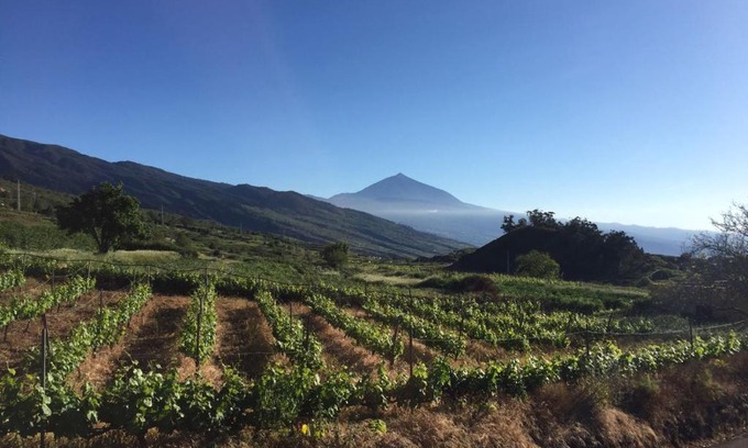 La Matanza de Acentejo House | Suerteluna