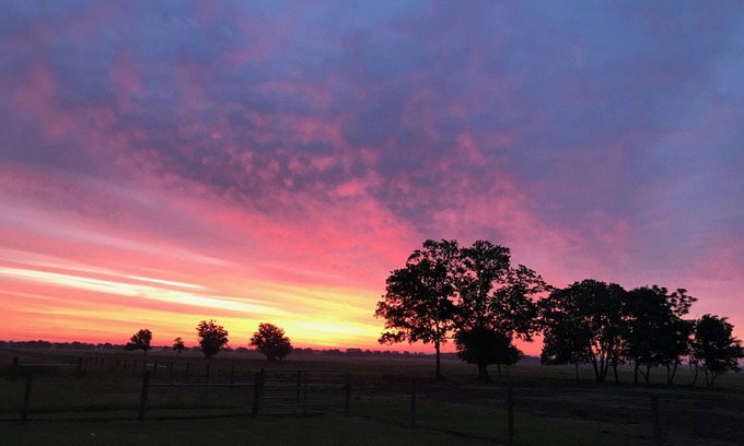 Damon House | Sugar Land Countryside and Brazos Bend Park quiet farm house retreat
