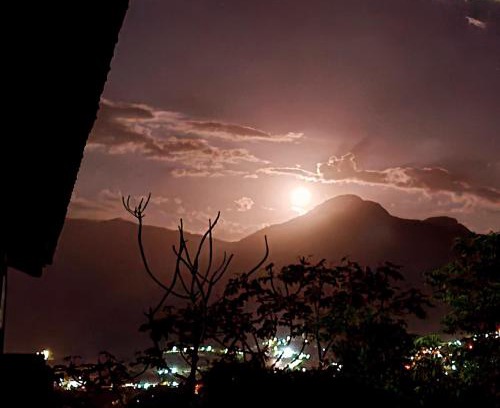 Tesouro da Colina House | Suite dos pássaros