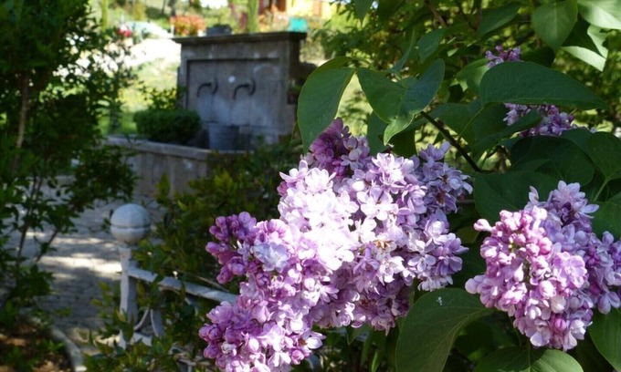 Puimoisson House | Suite of Lavender and Honey