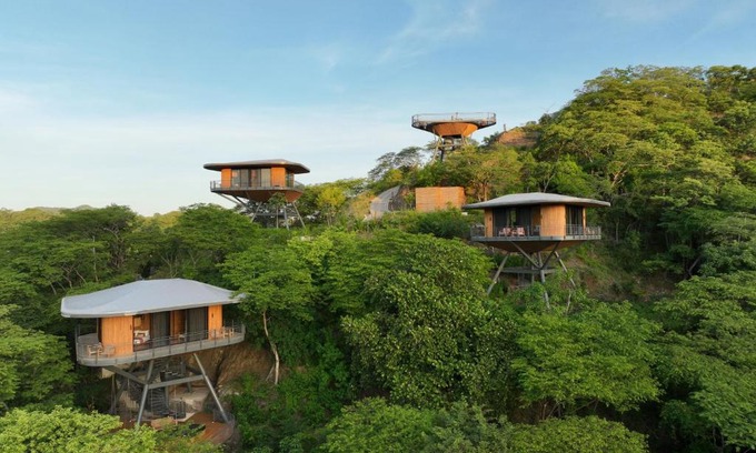 Artola Hotel | Suitree Experience Hotel