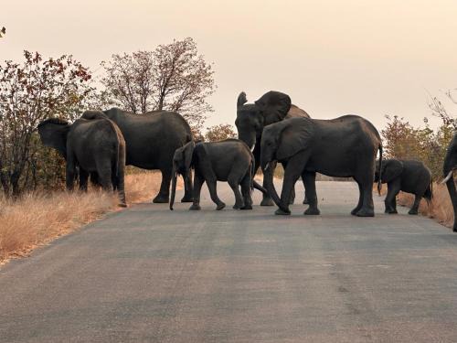 Phalaborwa House | SuLo Guesthome