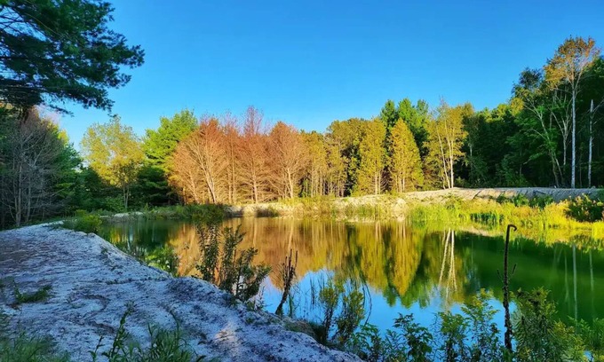 Cramahe House | Summer Farmhouse-Hunting, Stargazing, BBQ-Sleeps 8