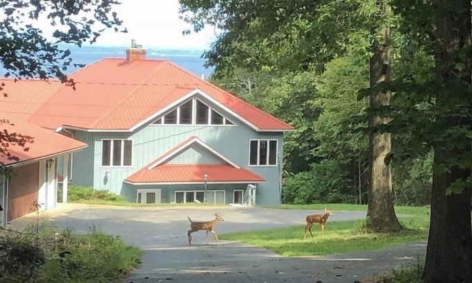 Town of Chesterfield House | Summer time at The Big-Lake Lodge at Lake Champlain
