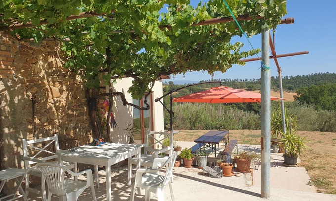 Civitella Paganico House | Summer vacation :-) July Aug and Sept free times again due to sick leave!