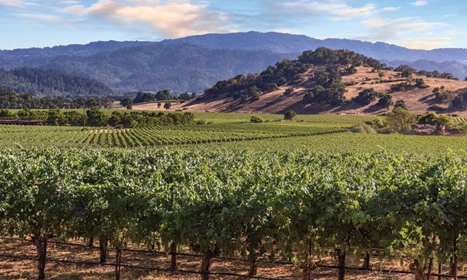 Napa Resort | Summertime in Napa, California! During Father's Day weekend, family & fun
