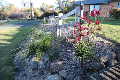 Devon Hills House | Summit Rural peace10 mins from Launceston