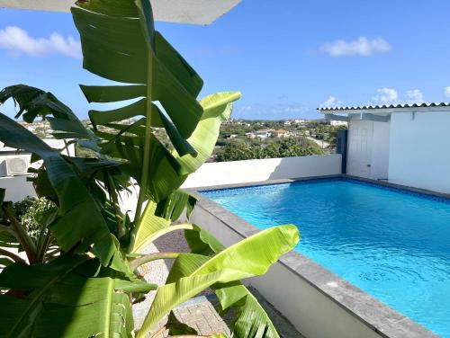 Cas Grandi Apartment | Sundelight Apartments