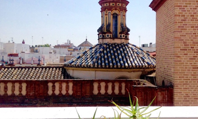 San Vicente Apartment | Sunny Attic With Private Terrace 'El Colmo' in Historic Center VFT/SE/00245