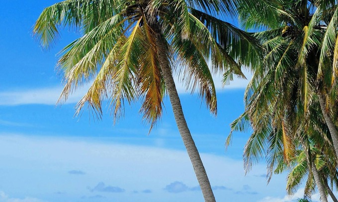 Sebastian Highlands House | Sunny Days Retreat, . 5 miles to beach, Fishing, 90min to Disney. Pet friendly