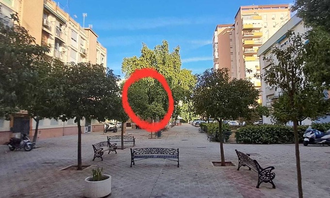 San Pablo A y B Apartment | Sunny & stylish handmade home. WI-FI, a/c and free parking on the street.