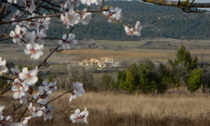 Tournissan Apartment | "Sunrise apartment" at La petite Auberge, 1 - 5 p in a haven of peace!