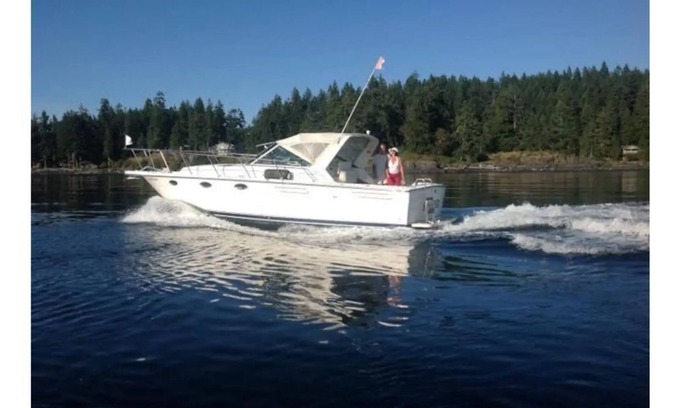 Port Alice House | Sunseeker B & B in Port Alice