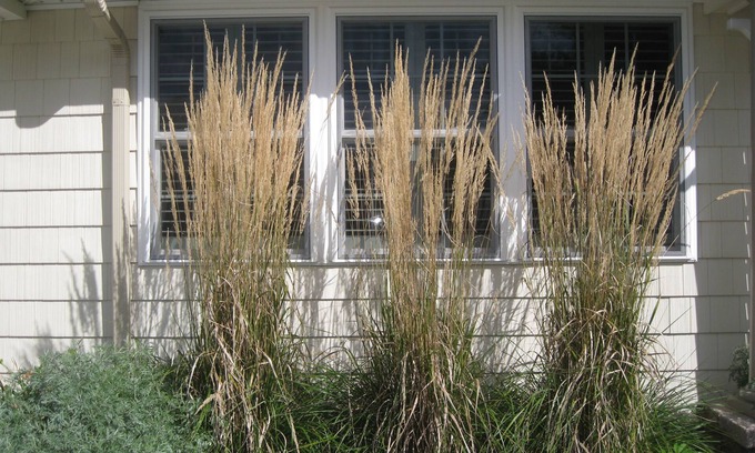 North Cape May House | Sunset View Beach Bungalow - Pets Allowed. Amazing covered deck and yard.