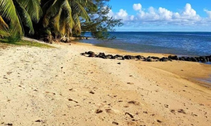 Hauru Apartment | SUNSETVIEW, studio, private beach, amazing swim & sunset