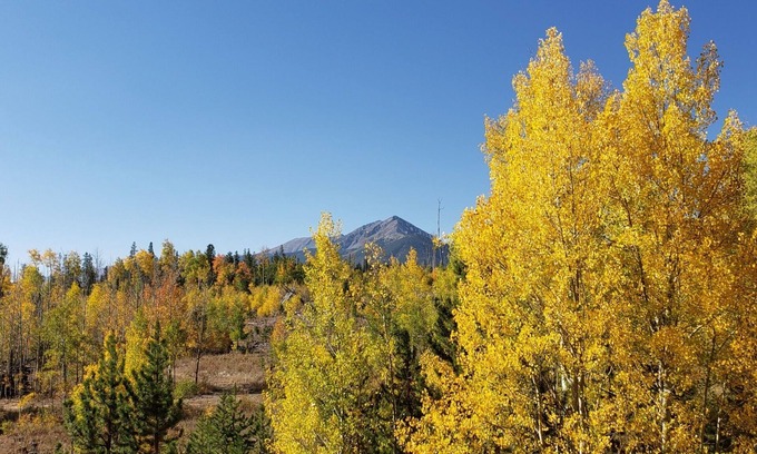 Wildernest Condo | Sunshine and views of Breckenridge and Keystone in a large (1100 sq ft) space!