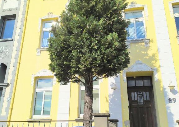 Stolberg Apartment | Super Apartments #1 mit Terrasse, #3 mit Aussicht und #7 mit Fernblick nahe Aachen