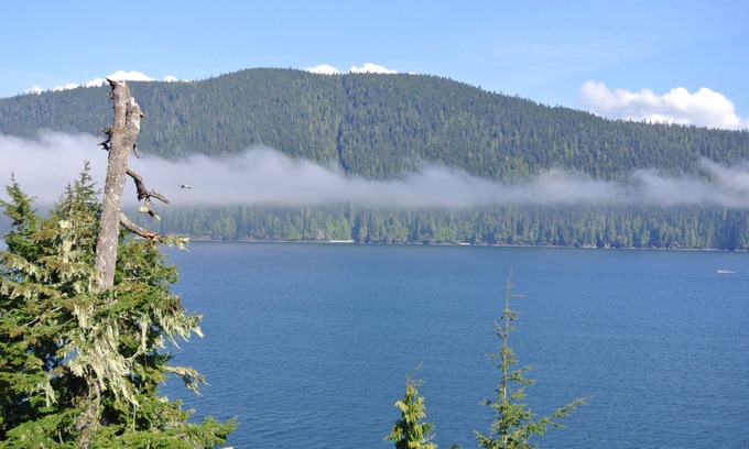 Port Renfrew House | Super Wild ~ Super Natural ~ Super Renfrew