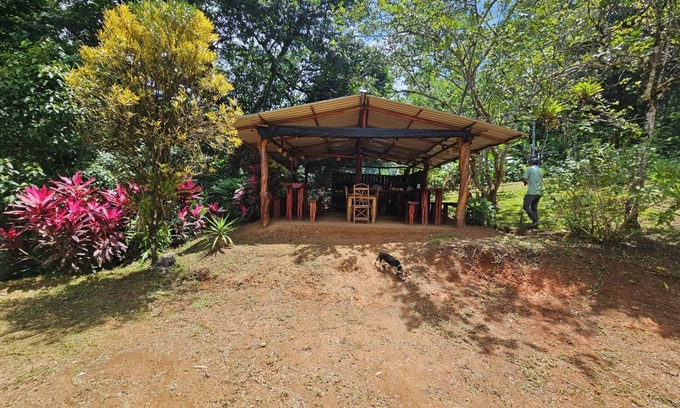 Puerto Jimenez Cabin | Superb 2-bedroom cabin in the Osa Penisula with stunning mountain and sea views