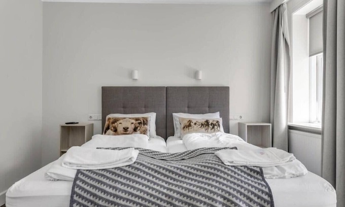 Downtown Apartment | Superior Apartment Su