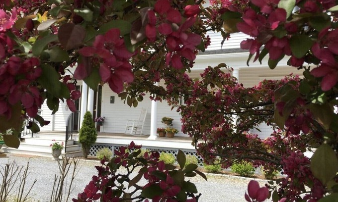 Williston North House | Superior Suite with Queen Bed, Living Room, Kitchen, Private bathroom